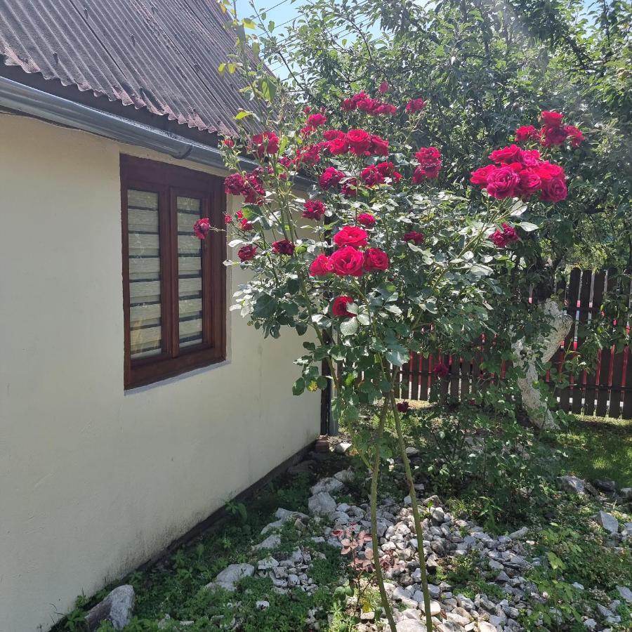Vila Paula & Spa Совата Екстер'єр фото