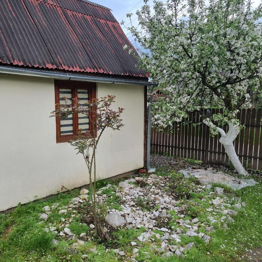Vila Paula & Spa Совата Екстер'єр фото