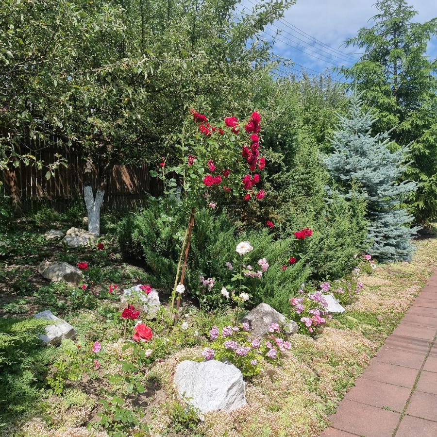 Vila Paula & Spa Совата Екстер'єр фото